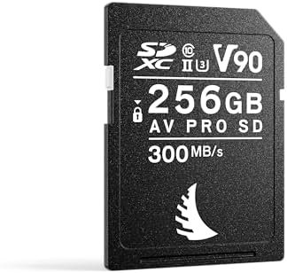 ANGELBIRD - Pack De 2 Cartes AV PRO SD MK2 64GB V90