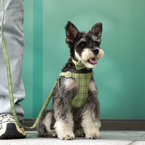 Beirui Cute Extra Small Dog Harness Collar and Leash Set with Bowtie, Soft Adjustable Plaid Puppy Harness for Small Sized Dogs Cats Walks Parties and Photoshoots(Green,XS:Chest 13-18") - Image 4