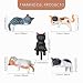 Imagen de Figuras de Gatos Realista