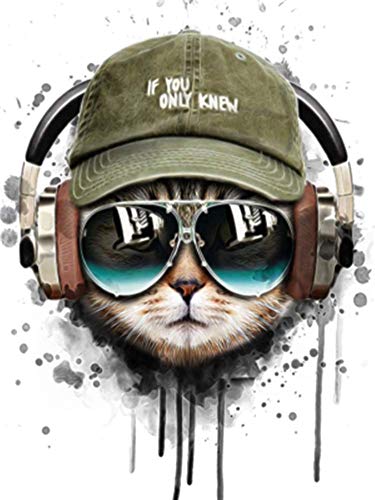 Wowdecor Paint by Numbers Kits for Adults Kids, Diy Oil Painting - Cool Cat Animals 16x20 inch (Frameless)
