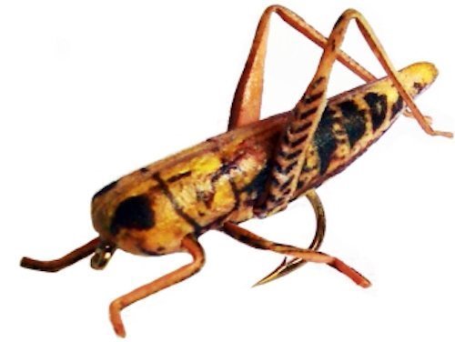 Grasshopper Flies - Lifelike Hopper Fishing Flies - Set of 8 - in Tan, Yellow, Green, Gray, Brown, Yellow/Brown, Yellow/Black, Black Cricket (Assorted, Size 6)