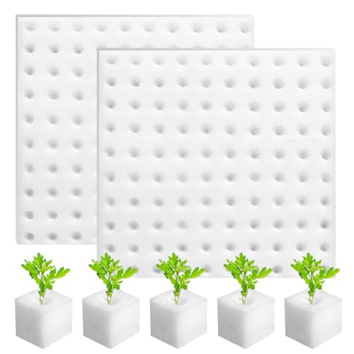 200 Piezas Esponja Hidropónica 25 * 25 * 25mm, Esponjas Plántulas Invernadero Plantar Herramientas de Jardinería Esponjas Cuadradas para Esquejes Agrícolas Siembra y Trasplante de Hortalizas(Blanco)