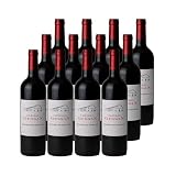 Château Gessan rosso 2014 - DOP Saint-Emilion Grand Cru - Bordeaux - Francia - Vitigni Merlot,Cabernet Franc,Cabernet Sauvignon - 12x75cl