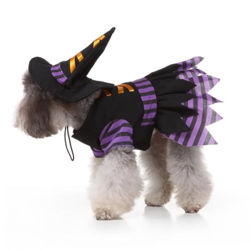 Disfraz para perro Bruja Halloween Talla L miniatura 3