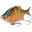 Orange Sunfish