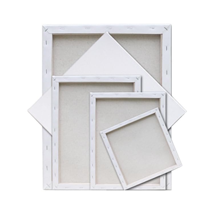 Tele Bianche Per Pittura - Set 6 Pezzi 20x25cm Cotone Professionale Per Artisti