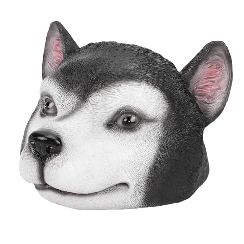 Tête de chien flottante pour ornement d'étang et décoration d'allée de jardin