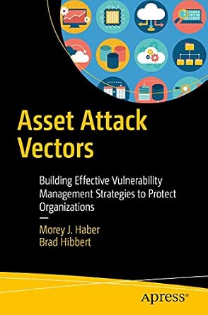 Asset Attack Vectors: Building Effective Vulnerability Management Strategies to Protect Organizations-Wow! eBook