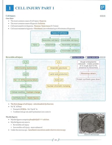 Image of inchRapid Revision Notes: Micrology & Pathology Prep (6th Edition) - Two Color-Coded Books inch