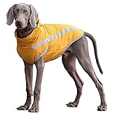 Consejos: antes de decidir pedir nuestros ganchos para perros, utiliza una cinta métrica para medir la circunferencia del pecho y el cuello de tu perro, consulta nuestra tabla de tallas y elige el tamaño correcto.
