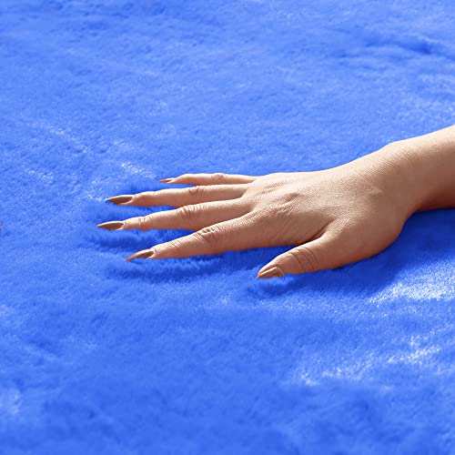 Image of FH Group Universal Fit Full Set Doe16 Faux Rabbit Fur Automotive Floor Mats Fits Most Cars, SUVs, Trucks and Vans Blue