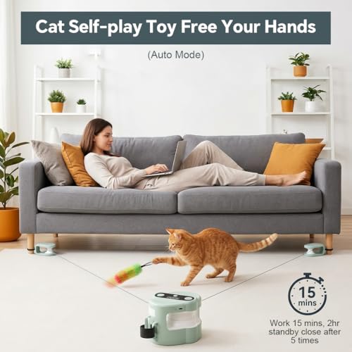 Image of Qpets Interactive Cat Toy with Bird Sound DIY Track Play for Indoor Cats
