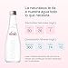 Evian (Non-Sparkling) Natural Spring Water, 11.1 Fl Oz (20 Glass Bottles)