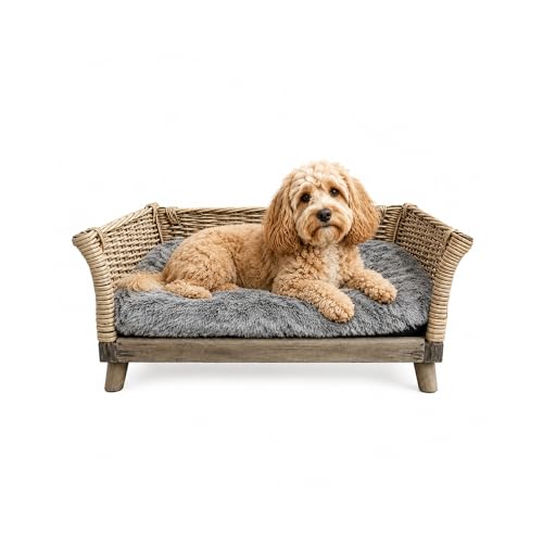 UNUS Lit de chien en osier, canapé carré pour chien L 90 x l 55 x h 35 cm, avec coussin en polyester amovible, parfait pour toutes les races de chiens