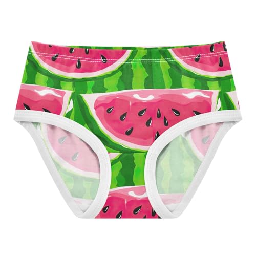 Joisal Watermelon Skin Pink Green Little Girl Panties Girls Underwear Toddlers Cotton Fun Print Undies Kids Briefs 2t