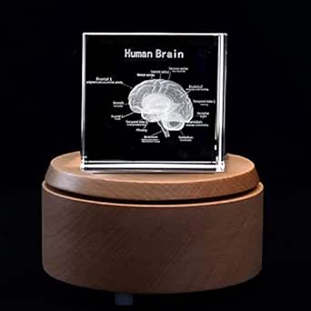 China 3D Laser Human Skeleton Anatomical Model Engraved Crystal - View #8