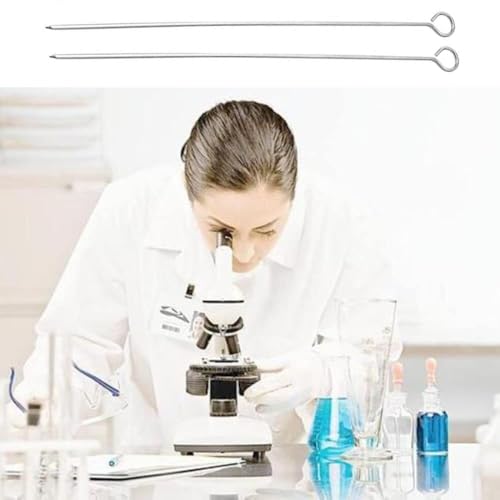 Boucles d'inoculation réutilisables avec pointe 3mm de haute précision (x50)