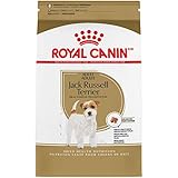 best jack russell puppy food