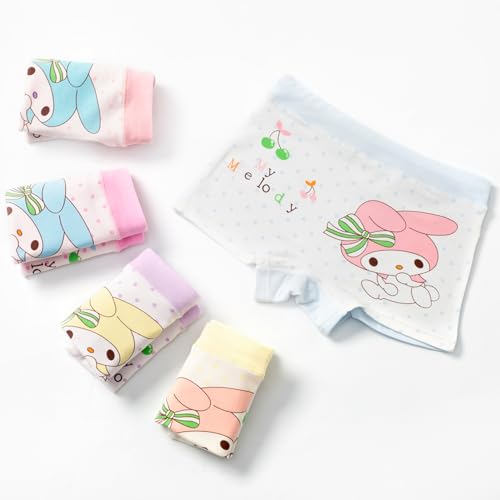 (5pack+5pair Little Girls Cartoon Boyshorts Underwear with Pink Cotton Crew Ankle Socks for Age 4-6 Years3