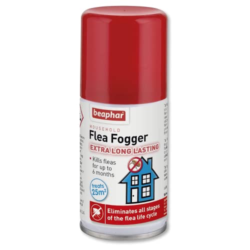 Best Flea Fogger UK Eyes