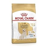 ROYAL CANIN Labrador Retriever Adulte 5+ - 3 kg