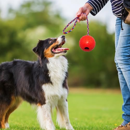 Zyluniy 5 Stück Wurfball Hund Hundespielzeug, ø 5 X 30cm Hundeball mit Schnur, Naturkautschuk Ball für Hunde, wurfspielzeug Hund für Große & Kleine Hunde Werfen