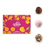 Godiva Signature Truffles Limited Edition Spring Gift Box, Belgian Dark & Milk Chocolates with Ganache Centers, Gourmet Mother's Day Chocolate Gifts, Kosher, 15 Pc