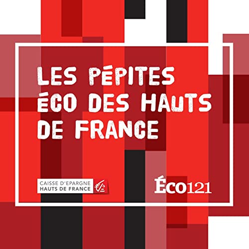 Les p&eacute;pites de l'&eacute;co des Hauts de France cover art