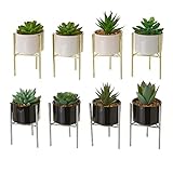 como hacer cactus de plastico Set de 8 plantas artificiales de tipos variados de cactus y suculentas, fabricadas con innovador material plástico de color verde, incluyen maceta de porcelana en 2 colores, blancas y negras, y disponen de un soporte de metal.