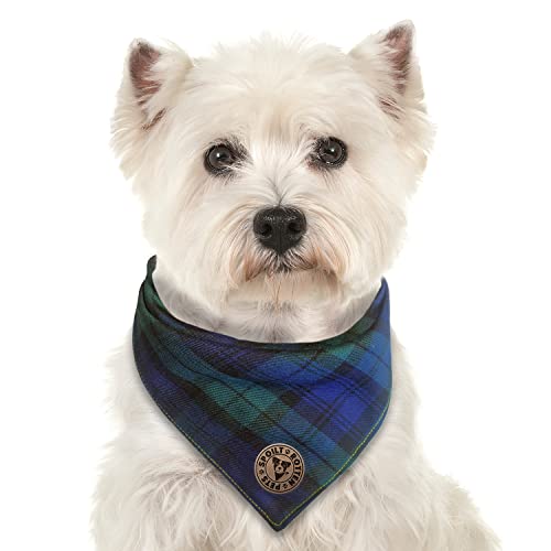 Spoilt Rotten Pets The Edinburgh - Bandana per