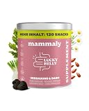 mammaly 9-in-1 Probiotika für Deinen Hund - Lucky Belly 120 Drops (350g) - Bei Magenprobleme & Verdauungsprobleme für Magen-Darm, Verdauungssnacks bei Gras fressen & Kotfresser Leckerlies mit Huhn