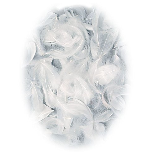 Blanc Coquille SAFU073706 objet deco tendance epuree japon