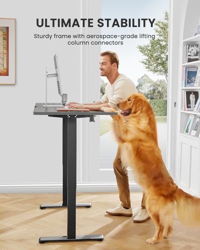 image for ErGear Small Height Adjustable Electric Standing Desk, 40 x 24 Inches 