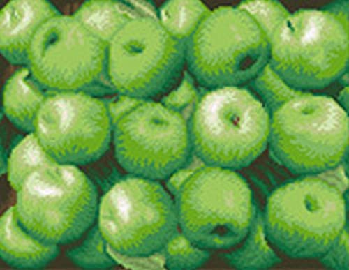 Point de croix kit broderie facile toile imprimée fruits verts 40x50cm pour apprendre sans stress