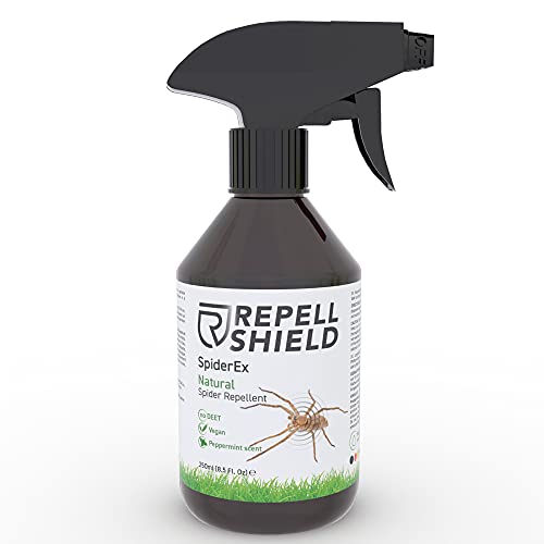 RepellShield Spray Anti Araignées Maison - 250ml - Répulsif Araignée: Maison, Jardin et Potager - Produit Anti Araignée Efficace à la Menthe Poivrée - Usage Intérieur et Extérieur thumbnail