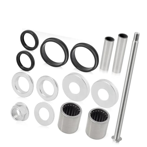 Joint de bras oscillant arrière résout le jeu de suspension TRX400EX