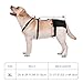 yrenoer Female Dog Heat Pants with Harness Design - Anti-Slip, Anti-Mating, Reusable & Washable Underwear for All-Day Protection (Black, XL)