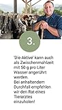 PecuVital DIE AKTIVE - Diätfutter gegen Kälberdurchfall [hochverträglich] 1 kg Vorbeugung & Behandlung von Durchfall - Elektrolyte, Vitamine, Zink, Eisen, Omega 3 & Energie für geschwächte Kälber