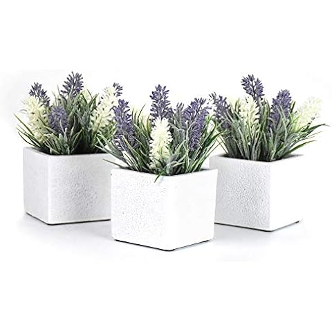 Nattol Artificial Faux Lavender and White Flowers in 2.9 Inch White Rustic Style Contemporary Design Square Cement Pot, White and Purple, Set of 3 Cover