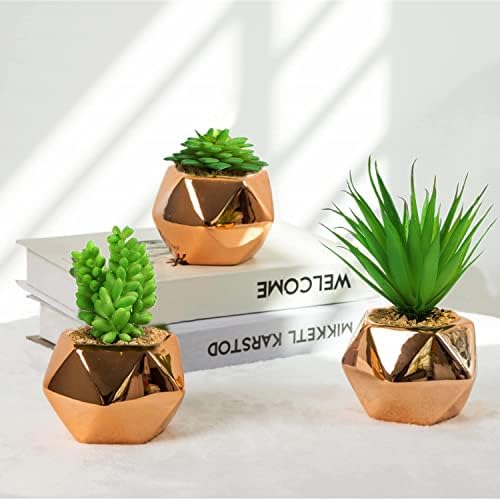 Nattol Small Artificial Succulent Plant In Rose Gold Geometric Plant Pots Fake Cactus In Gold Ceramic Pot For Home Decor Set Of 3 Amazon Sg Home