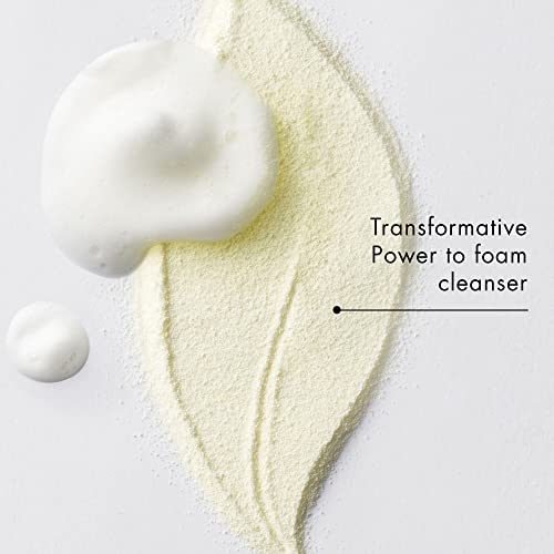 Amazon.com: AMOREPACIFIC Treatment Enzyme Peel Cleansing Powder | Korean Gentle Daily Exfoliator with Hyaluronic Acid and Green Tea Enzymes, 1.9 oz. : Amazon Luxury