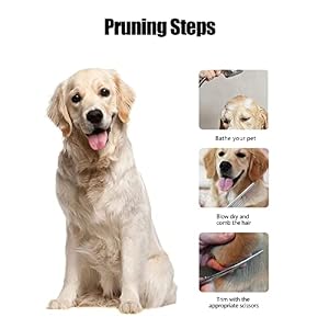 Dog Professional Grooming Scissors, Pets Body & Facial Trimmer, 7" Titanium Cat Thinning Shears, Stainless Steel with Round Tip for Long, Medium, Short, Thick, Wiry, Curly Hair Dog Professional Grooming Scissors, Pets Body & Facial Trimmer, 7″ Titanium Cat Thinning Shears, Stainless Steel with Round Tip for Long, Medium, Short, Thick, Wiry, Curly Hair