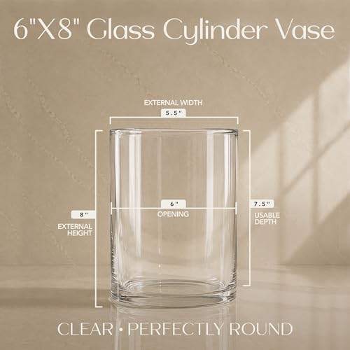 Royal Imports Flower Glass Vase Decorative Centerpiece for Home or Wedding - Cylinder Shape, 8" Tall, 6" Opening, Clear by Royal Imports - Image 2