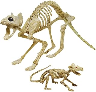 JOYIN Halloween Cat and Rat Skeleton Decorations, Plastic Bones with Posable Joints for Animal Skeleton, Halloween Prop Indoor Outdoor, Spooky Scene Party Favors Decor