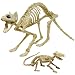 Skeleton Cat and Rat Skeleton for Halloween Decorations, Skeleton Animal Yard Decor and Reaper Bones Animals