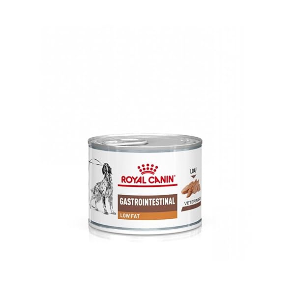Royal Canin Gastrointestinal Low Fat Mousse | 12 x 200 g | Diät-Alleinfuttermittel für ausgewachsene Hunde | Kann zur Unterstützung Einer gesunden Verdauung beitragen