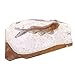 Scicalife Paleontology Fish Fossil Specimen Stone Ornaments for Basic Paleontology Biological Science Education Laboratory Supply(Random Size)