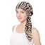 Zebra Stripes