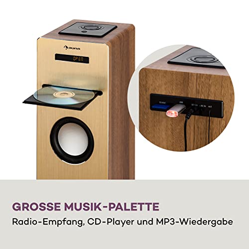 Auna Sound Tower Lautsprecher mit Radio, CD-Player und Bluetooth