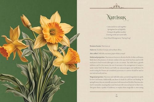 Image of Enchanted Plants: A Treasury of Botanical Folklore and Magic